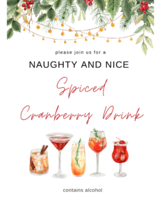 Winter Cocktail Sign of Spiced Cranberry Drink