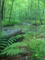 Earth Day 2013 - Pennsylvania 2