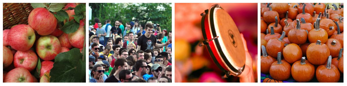 Collage of red apples, concert crowd, drums and bright orange pumpkins