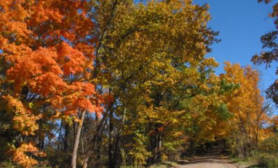 Enjoy Breathtaking Fall Foliage in the Cumberland Valley, PA