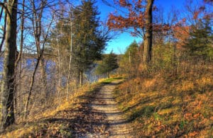 Hiking trail along a mountain side in the fall with pines, bare trees and colorful leaves on the ground