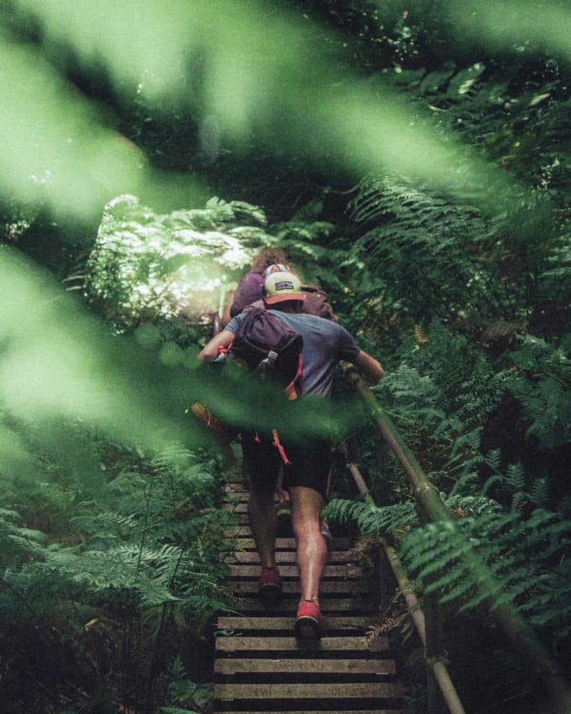 man hiking up wooden stairs in the forest