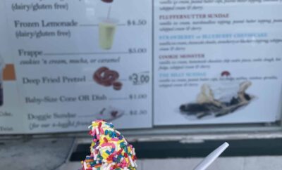 Best Ice Cream Places in The Area (11)